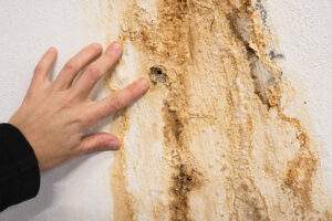 كشف تسربات المياه في حي العليا