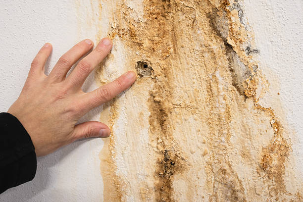 علامات تدل على وجود تسرب مياه في المنزل